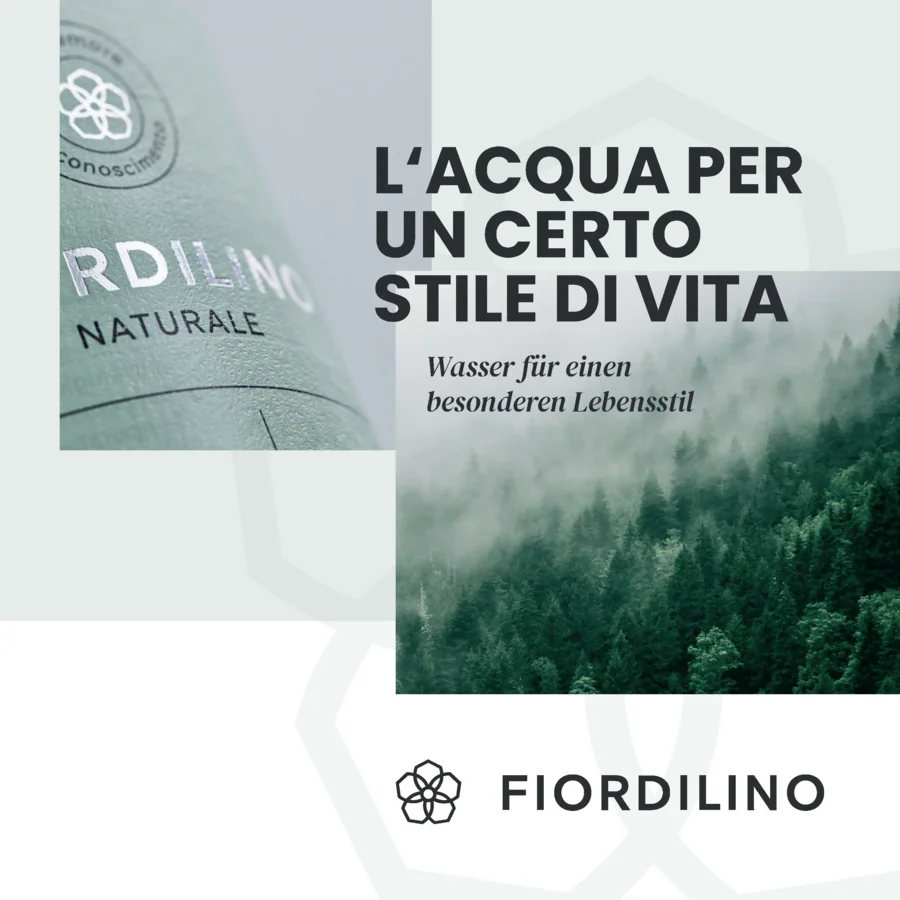 Fiordilino ThekenTickeraktion 02/2026 | Drinkport