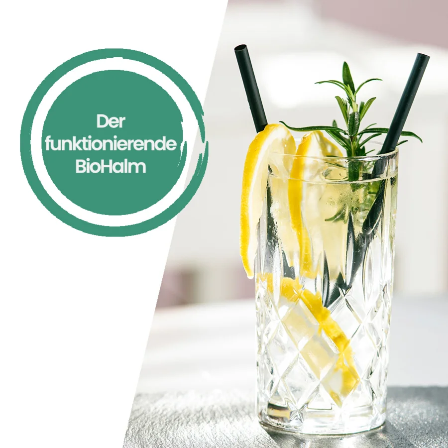 Fiordilino ThekenTickeraktion 02/2026 | Drinkport